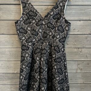 Blue Rain Black Lace Fit And Flare Mini Dress